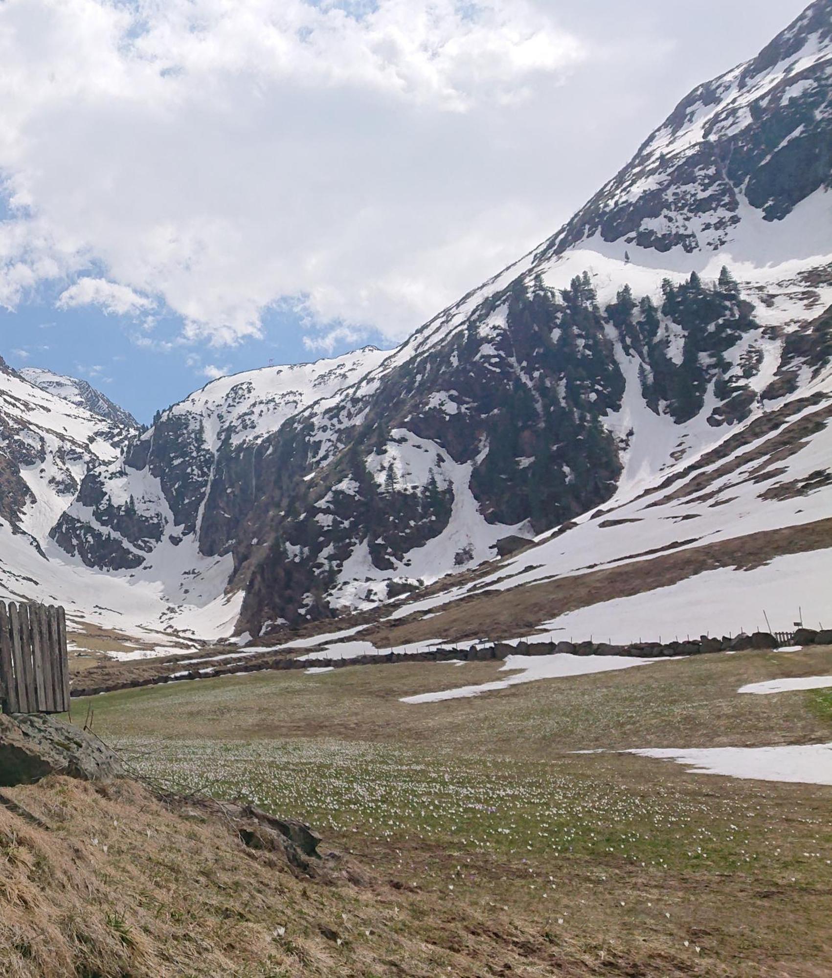 Landhaus Susanne Neustift im Stubaital Ngoại thất bức ảnh